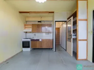 Prodej bytu 1+1, Chomutov, Písečná, 36 m2