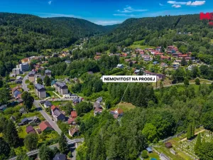 Prodej rodinného domu, Desná - Desná I, Spojovací, 360 m2