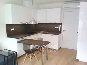 Pronájem bytu 1+kk, Brno, Studentská, 25 m2