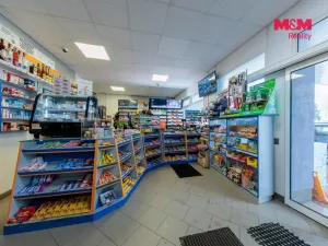 Prodej obchodního prostoru, Nová Role - Mezirolí, 120 m2