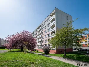 Pronájem bytu 1+1, Hradec Králové - Moravské Předměstí, Šantrochova, 35 m2