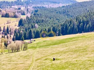 Prodej bytu 2+kk, Nové Hutě, 40 m2