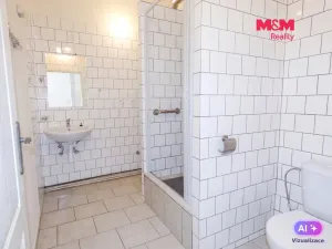 Pronájem bytu 1+1, Ostrava - Moravská Ostrava, Repinova, 40 m2