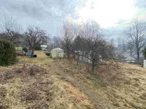 Dražba louky, Lužnice, 608 m2