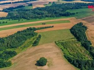 Prodej komerčního pozemku, Polom, 27304 m2