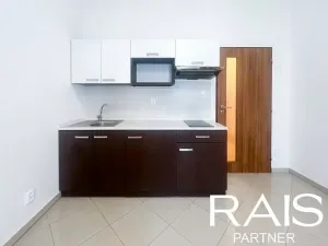 Prodej bytu 1+kk, Brno, Jugoslávská, 29 m2