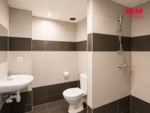 Pronájem bytu 1+kk, Hradec Králové, Sušilova, 32 m2