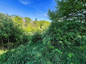 Prodej pozemku pro bydlení, Libodřice, 1204 m2