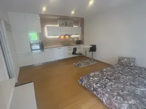 Pronájem bytu 1+kk, Praha - Břevnov, Nad Závěrkou, 35 m2