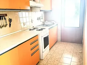 Prodej vícegeneračního domu, Záboří nad Labem, Příčná, 360 m2