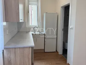 Pronájem bytu 1+kk, Praha - Bubeneč, Jaselská, 29 m2