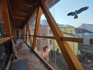 Dražba činžovního domu, Náchod, Komenského, 1000 m2