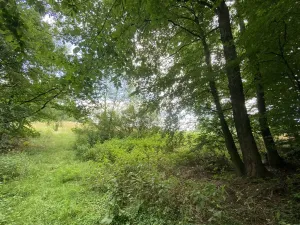 Prodej pozemku, Olbramice, 225 m2