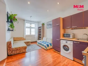 Prodej bytu 2+kk, Plzeň - Východní Předměstí, Guldenerova, 39 m2