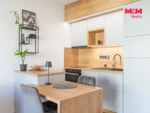 Prodej bytu 1+kk, Prostějov - Čechovice, Na Lukách, 32 m2