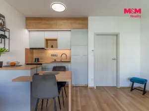 Prodej bytu 1+kk, Prostějov - Čechovice, Na Lukách, 32 m2