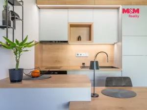 Prodej bytu 1+kk, Prostějov - Čechovice, Na Lukách, 32 m2