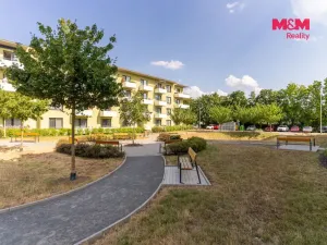 Prodej bytu 1+kk, Prostějov - Čechovice, Na Lukách, 32 m2