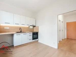 Pronájem bytu 1+1, Český Těšín, Tyršova, 44 m2