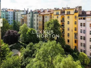 Pronájem bytu 2+1, Praha - Vinohrady, Polská, 45 m2