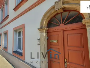 Pronájem bytu 1+kk, Olomouc, Sokolská, 52 m2