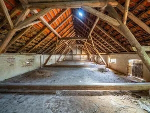 Prodej chaty, Hostouň - Slatina, 700 m2