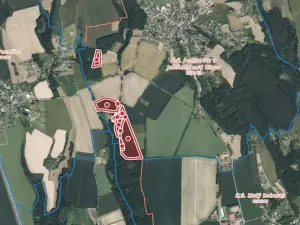 Prodej lesa, Jenišovice, 108509 m2