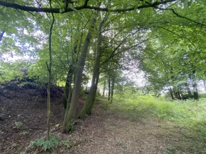 Prodej pozemku, Olbramice, 708 m2