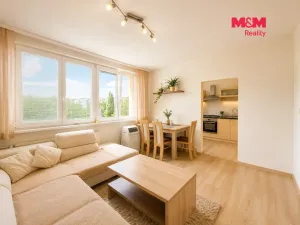 Pronájem bytu 2+1, Ostrava - Bělský Les, Vlasty Vlasákové, 45 m2