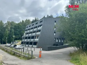 Prodej bytu 1+kk, Janov nad Nisou, 25 m2
