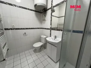 Pronájem bytu 1+kk, Řevničov, Karlovarská, 25 m2