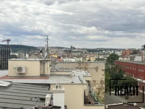 Pronájem bytu 1+kk, Praha - Žižkov, Seifertova, 45 m2