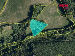 Prodej lesa, Hranice - Hranice IX-Uhřínov, 5050 m2