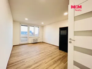 Pronájem bytu 1+kk, Ostrava - Moravská Ostrava, 30. dubna, 28 m2