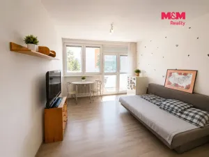 Pronájem bytu 1+kk, Frýdek-Místek - Místek, Jiřího Trnky, 21 m2