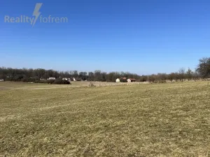 Prodej pole, Příbor, Politických vězňů, 98862 m2