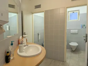 Prodej vícegeneračního domu, Brno, Hlinky, 1140 m2