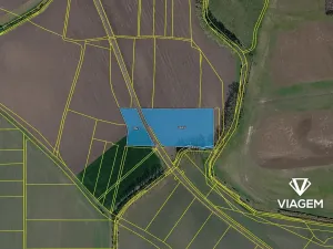 Prodej podílu pole, Běrunice, 1521 m2