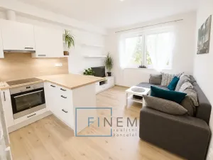 Pronájem bytu 2+kk, Kralupy nad Vltavou - Minice, Souběžná, 40 m2