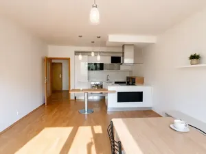 Pronájem bytu 2+kk, Praha - Žižkov, Kališnická, 58 m2