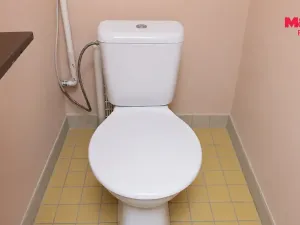 Prodej chalupy, Křelovice, 120 m2
