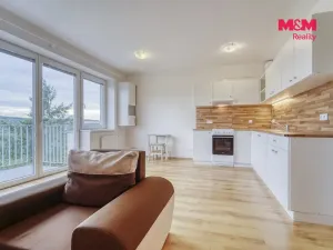 Pronájem bytu 1+kk, Plasy, U Václava, 38 m2