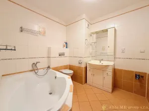 Pronájem bytu 3+kk, Benátky nad Jizerou, Platanová, 69 m2