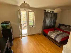 Pronájem bytu 3+kk, Brno, Jana Uhra, 136 m2