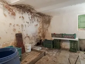 Prodej rodinného domu, Litomyšl, 408 m2