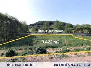Prodej louky, Orlické Podhůří, 3422 m2