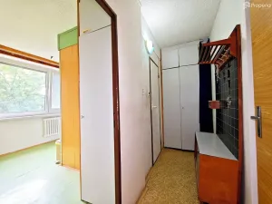 Prodej bytu 1+1, Třebíč, Mládežnická, 31 m2