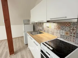 Pronájem bytu 1+kk, Rakovník, Havlíčkova, 58 m2