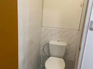 Pronájem bytu 3+1, Město Albrechtice, Nádražní, 80 m2