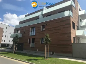 Pronájem bytu 1+kk, Olomouc, Třída Jiřího Pelikána, 35 m2